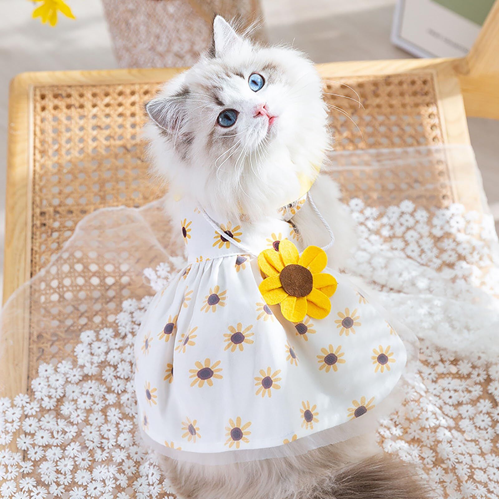 ピンキー様♡プリーツシフォン♡ワンピース♡ハンドメイド♡犬服♡オーダー♡ 楽天市場】クレイジーブー ひまわりシフォンワンピ 全8サイズ