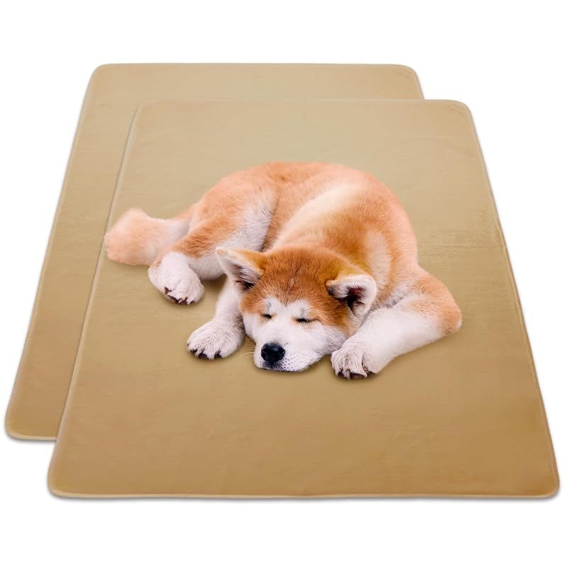 INULABO(イヌラボ) 大判 床保護マット (165×122cm(2枚セット