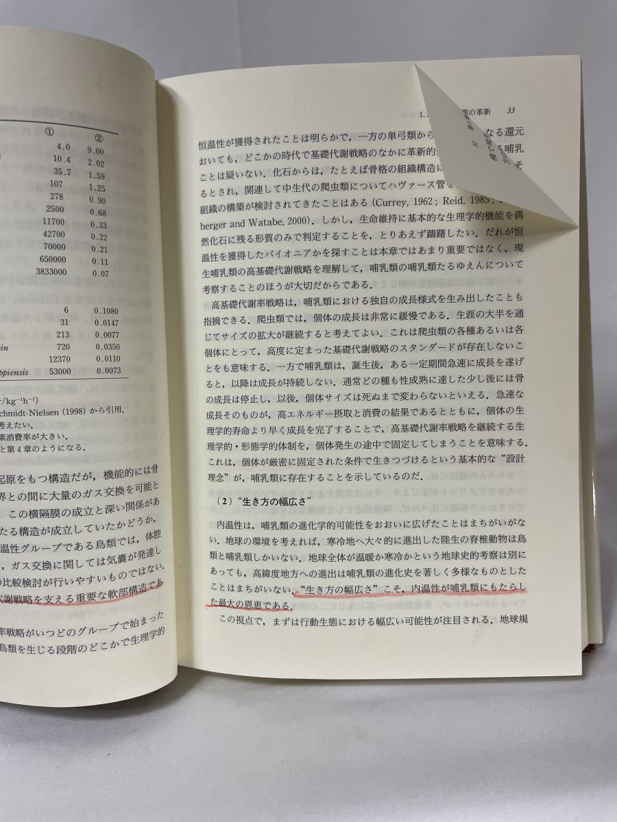 哺乳類の進化 Natural History 遠藤 秀紀／著 東京大学出版会