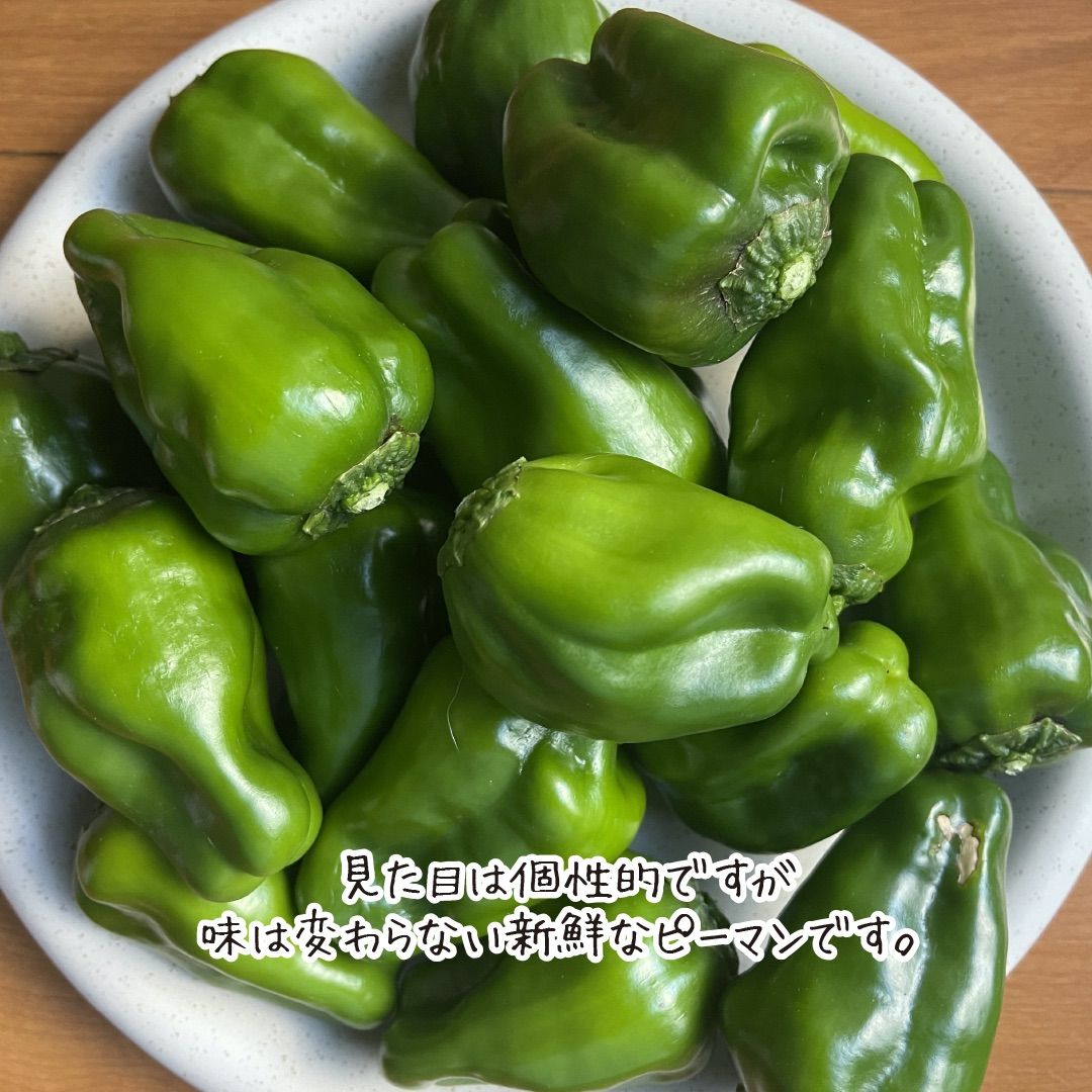 B品.規格外】ピーマン 緑 朝採り 宮崎県産 約3.0kg 新鮮 野菜