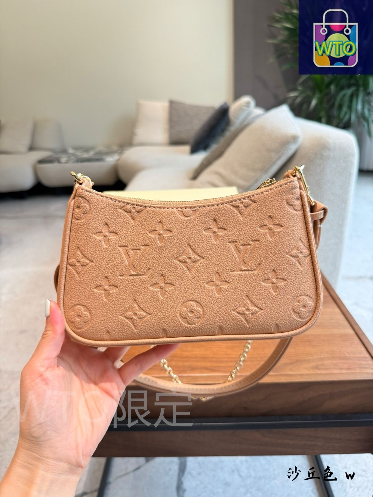 今日特価】Louis Vuitton ルイヴィトン イージーポーチ オン