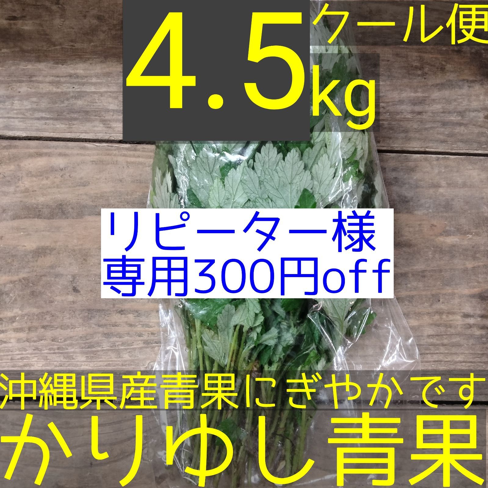リピーター様専用300円off〉沖縄県産 フーチバー(ニシヨモギ リピーター様専用300円off〉沖縄県産 フーチバー(ニシヨモギ