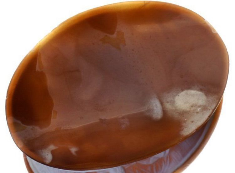 シェルカメオ　オーバル　ルース　アメンドーラ ジュエリー極】アメンドーラ作 美しい作品 超高級シェルカメオルース