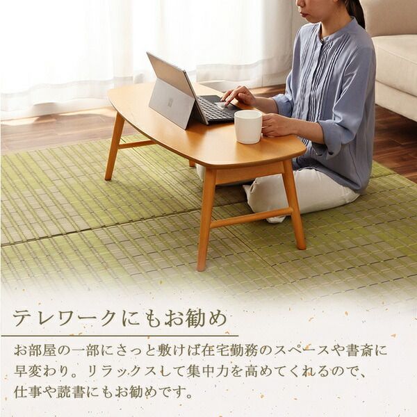 滑りにくい加工付き 空気自然浄化作用