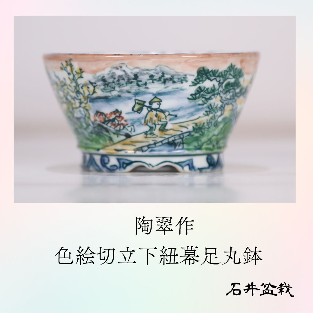 石井盆栽 陶翠 色絵 丸鉢 p-014