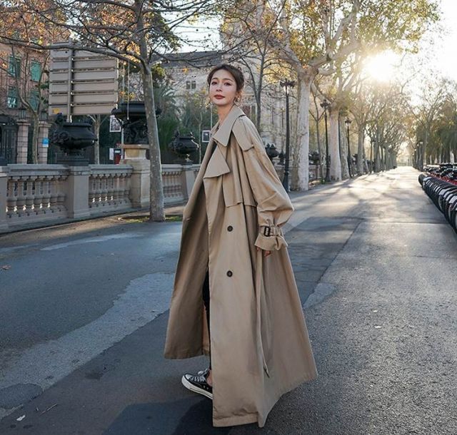 ㊵大きめ苗! 青鬼❣️紫紺の矢❣️もみじ飴❣️スノーミル❣️6苗