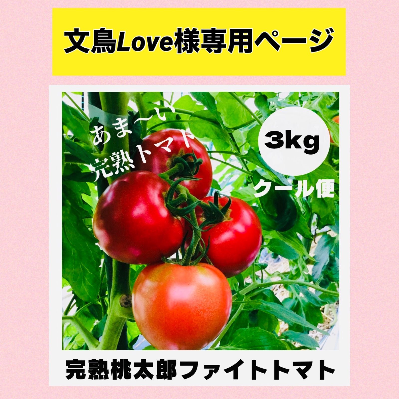 トマトさま専用です トマトさま専用 TOMATO(☆∀☆)さま専用です