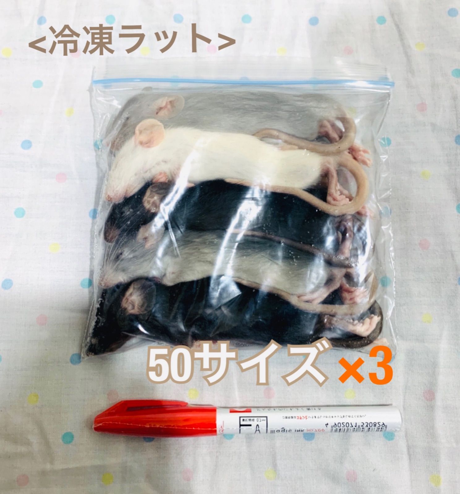 50サイズ 冷凍ラット 3袋