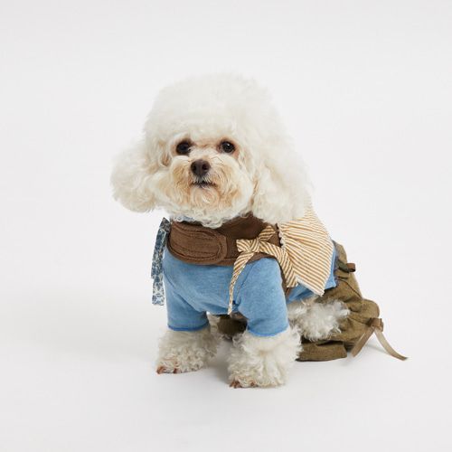 louisdog