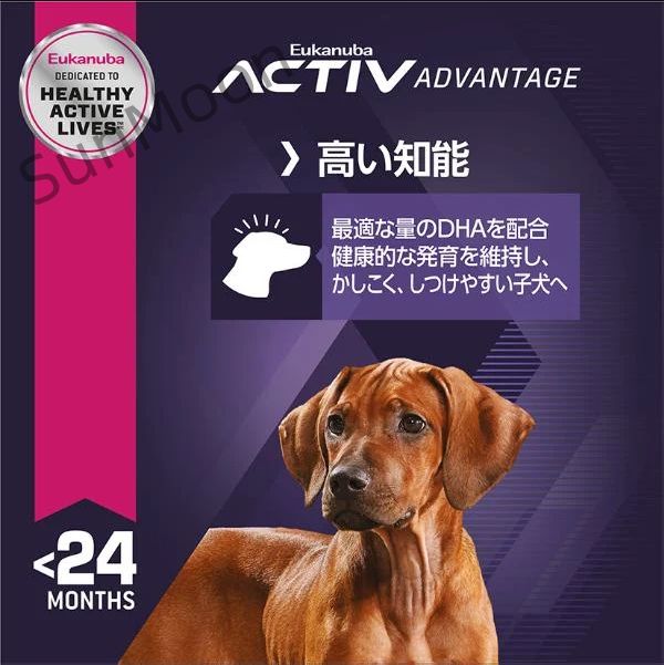 前に ユーカヌバ