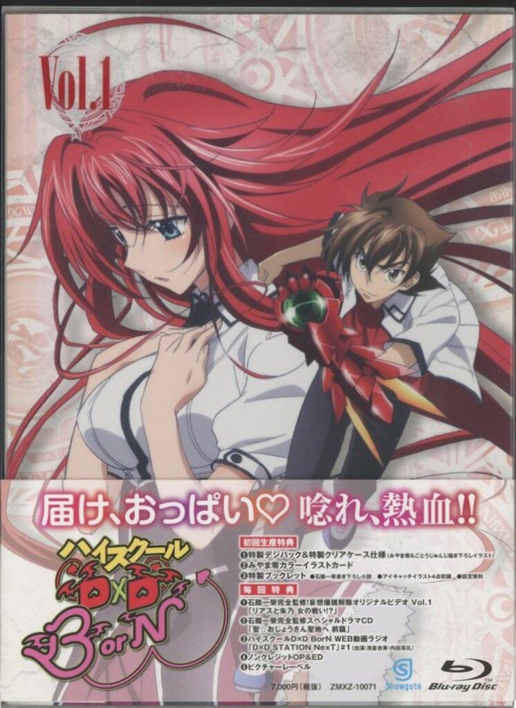 アニメBlu-ray ハイスクールD×D BorN 初回生産版全6巻セット