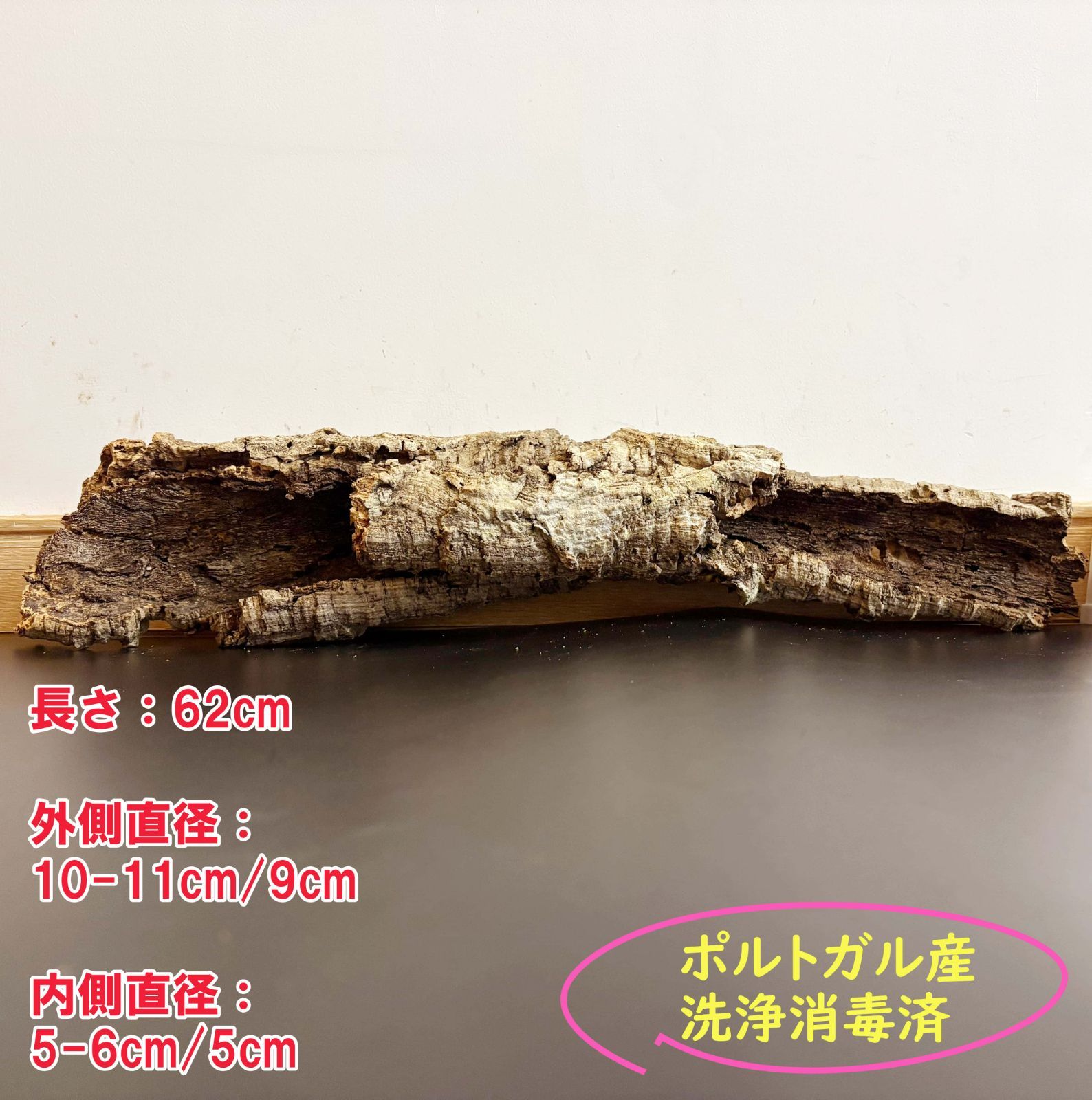 259S23 ポルトガル産 キャノンコルク コルク樹皮 コルク板 バージンコルク 送料無料 チランジア ビカクシダ 着生ラン 両生類 爬虫類