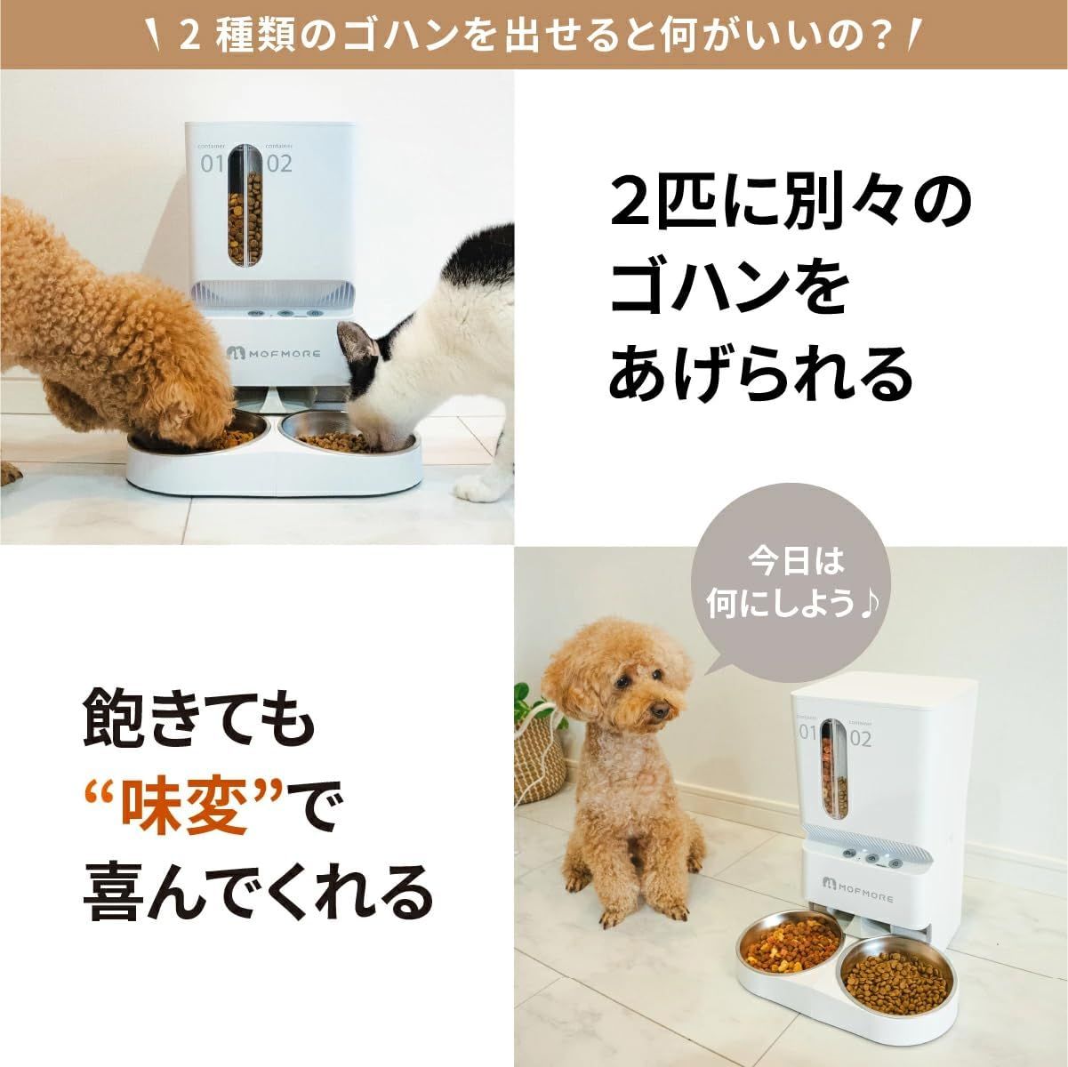2匹 多頭飼い