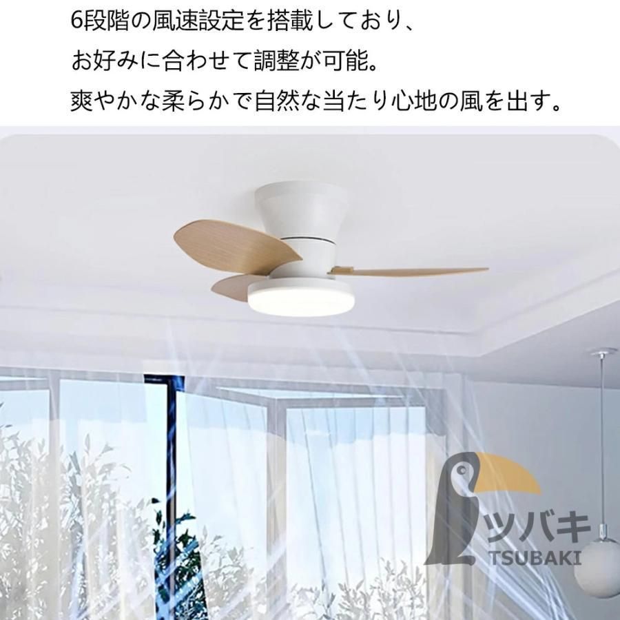 ファン付き照明