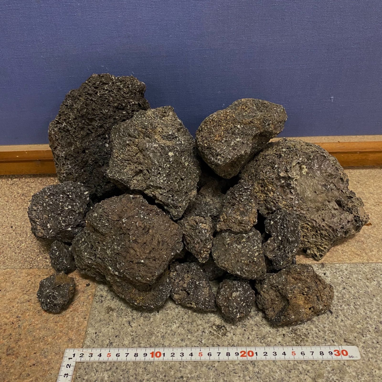 富士溶岩石 12kg アクアリウム 水槽レイアウト コケリウム 龍王