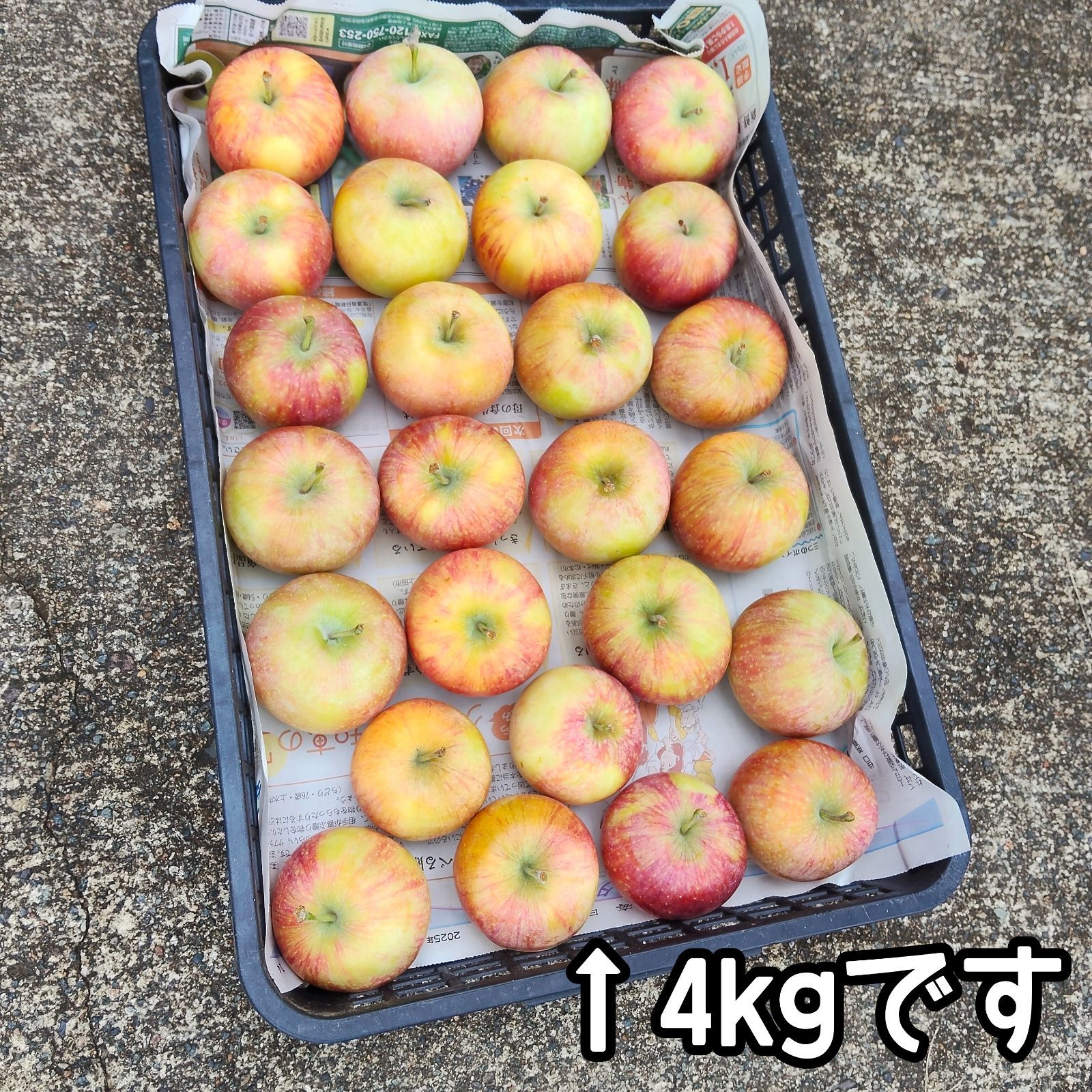 【葉とらず】【訳あり12kg】秋映 小玉 りんご 林檎 アップル 信州産 葉とらず】【訳あり12kg】秋映 小玉 りんご 林檎 アップル 信州産