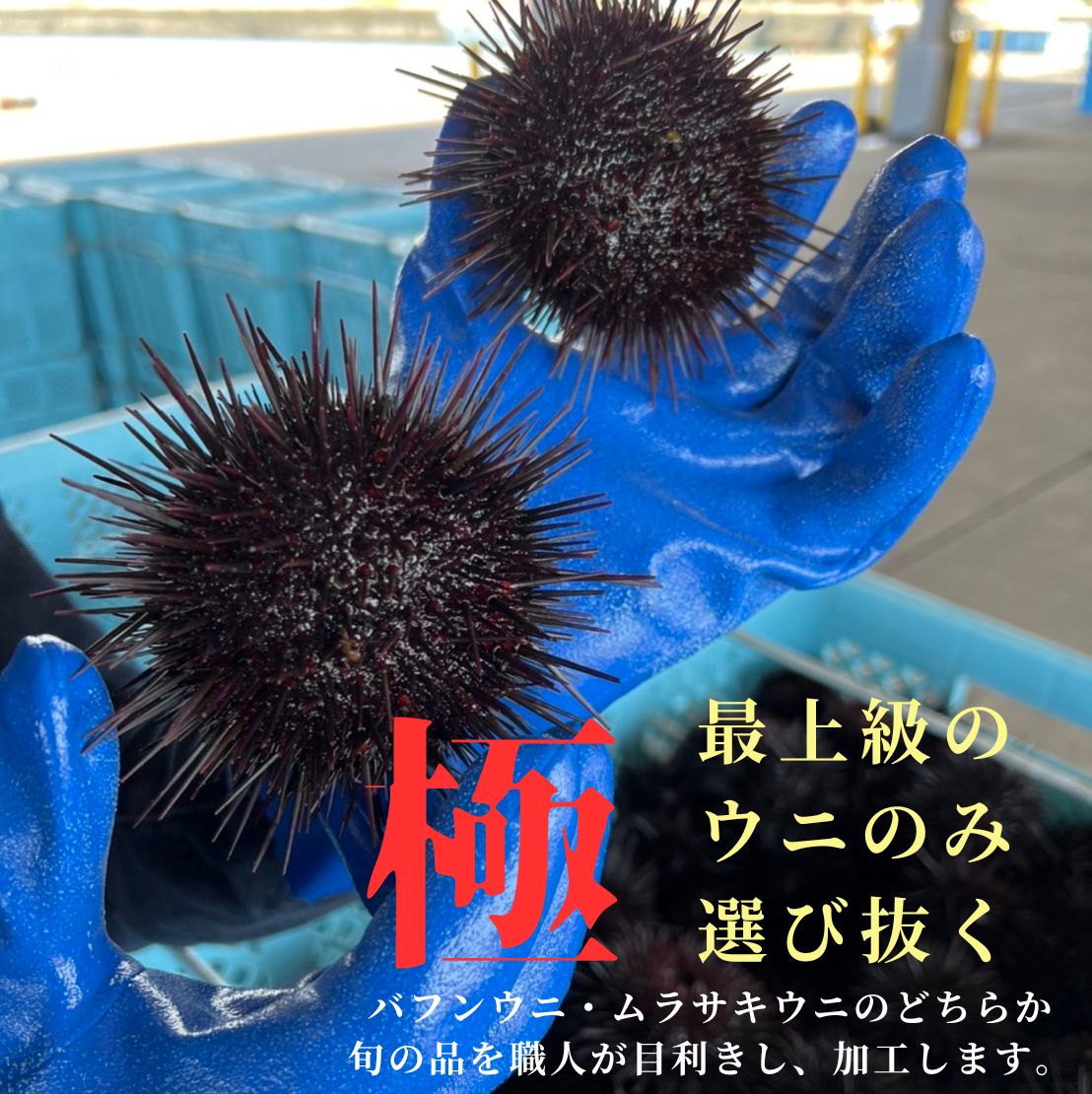 雲丹 うに