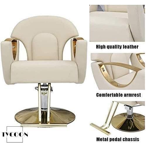 ラスト2個 美容室椅子 美容師の椅子 万能油圧リクライニング理髪店チェア サロンチェアのスタイリングチェア油圧スイベル古典的な髪油圧
