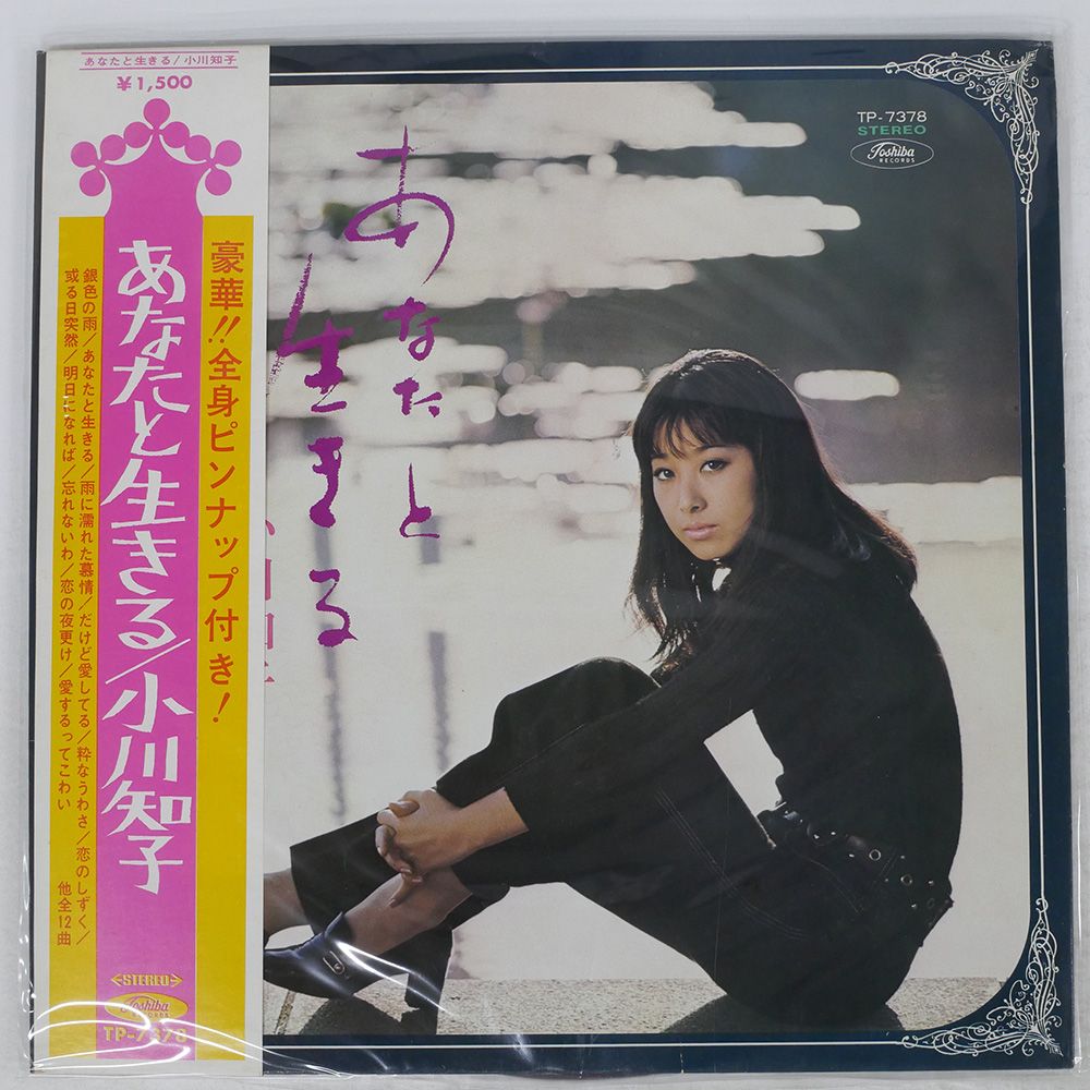 Amazon.co.jp: BEST~ third universe~ & 8th AL “UNIVERSE