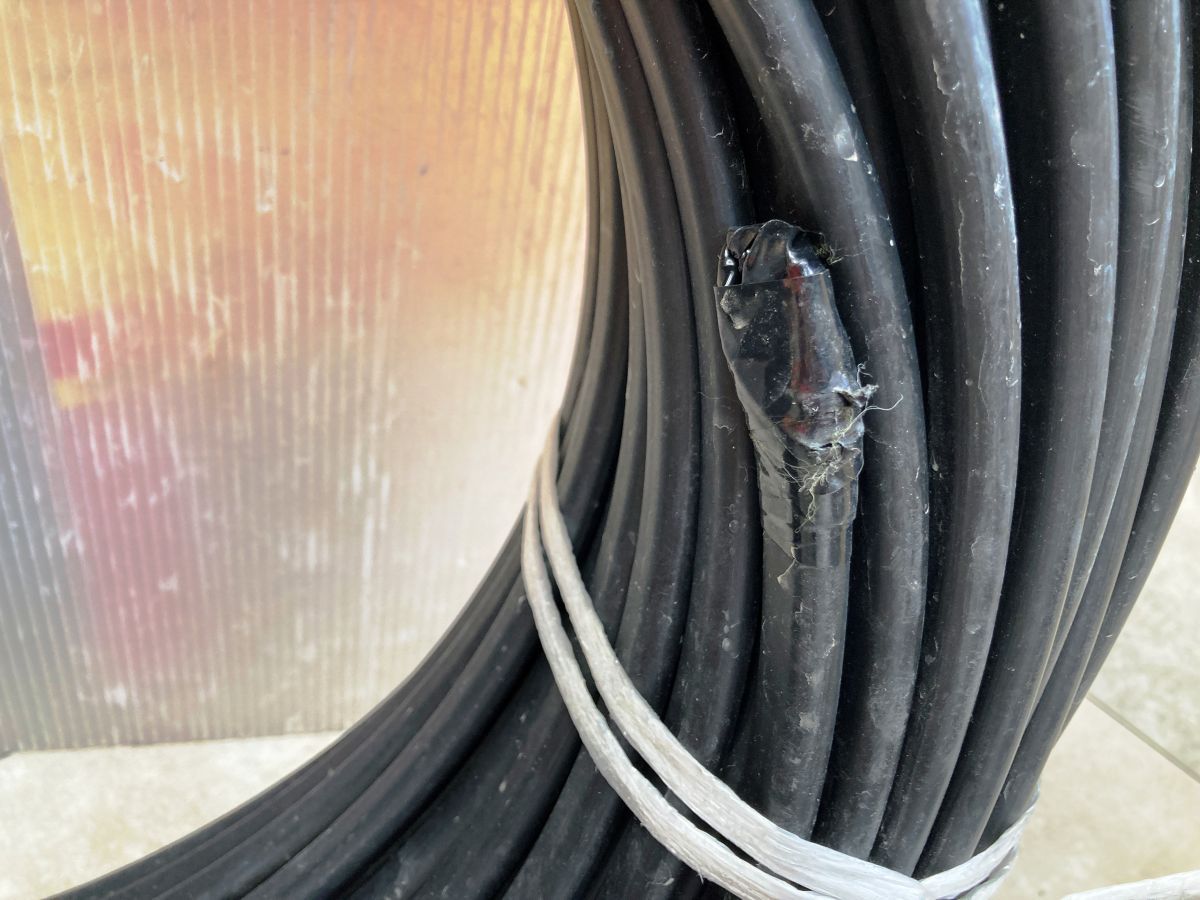 品 現状品 伸興 2C×5.5SQ 低圧耐火ケーブル 製 店頭掲示 HRDEVELOPMENT_JP