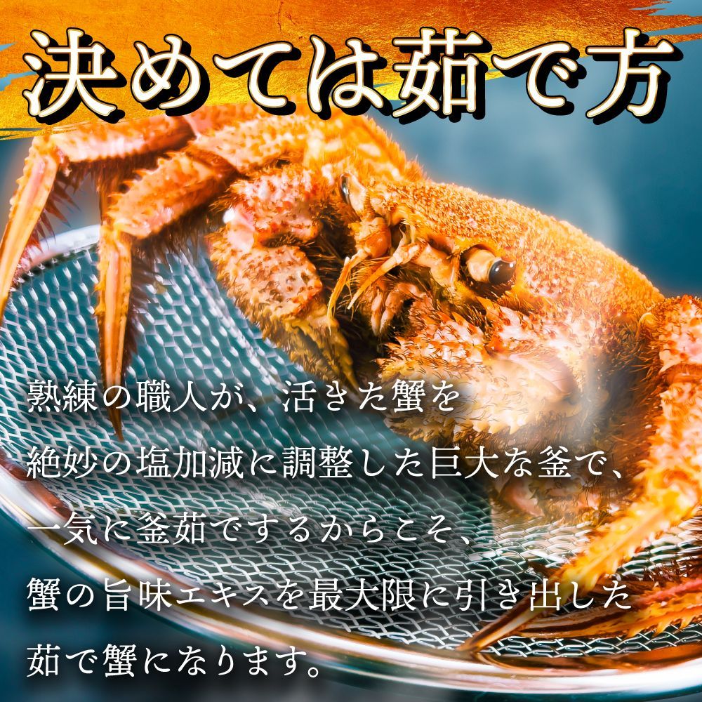 800g 最高ランクの堅蟹!