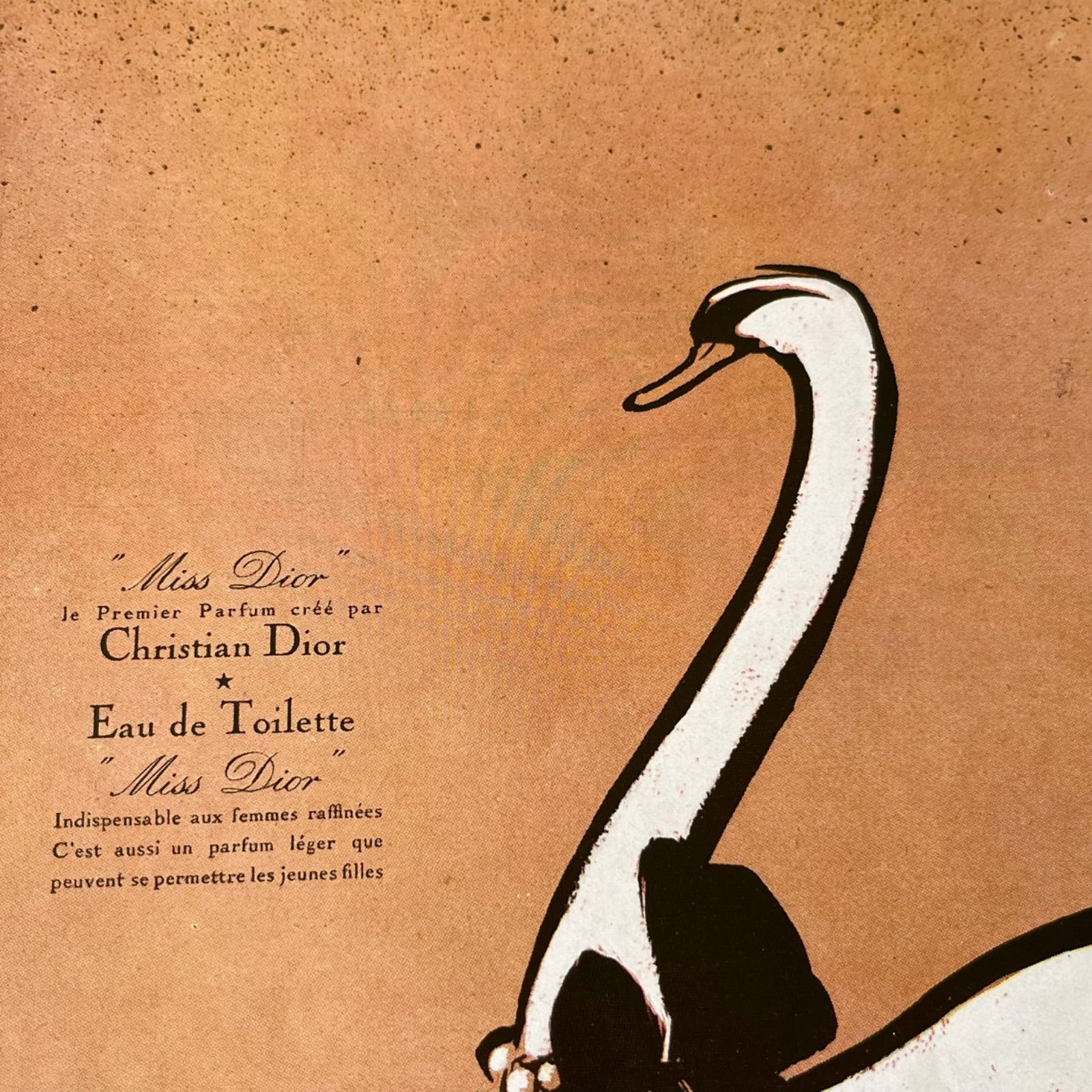 1950年代 広告＞ Dior ディオール Rene Gruau ルネ グリュオ