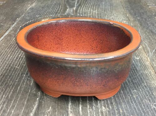 文山 3.5号4点セット 朱泥窯変 さつき鉢 箱入 和風 植木鉢