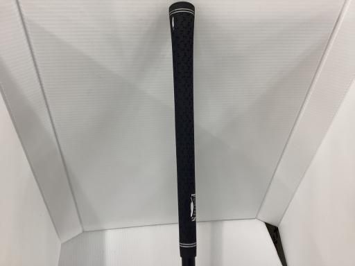 lepanthes gargoyla レパンテスエクアドルパルダリウム大株 lepanthes