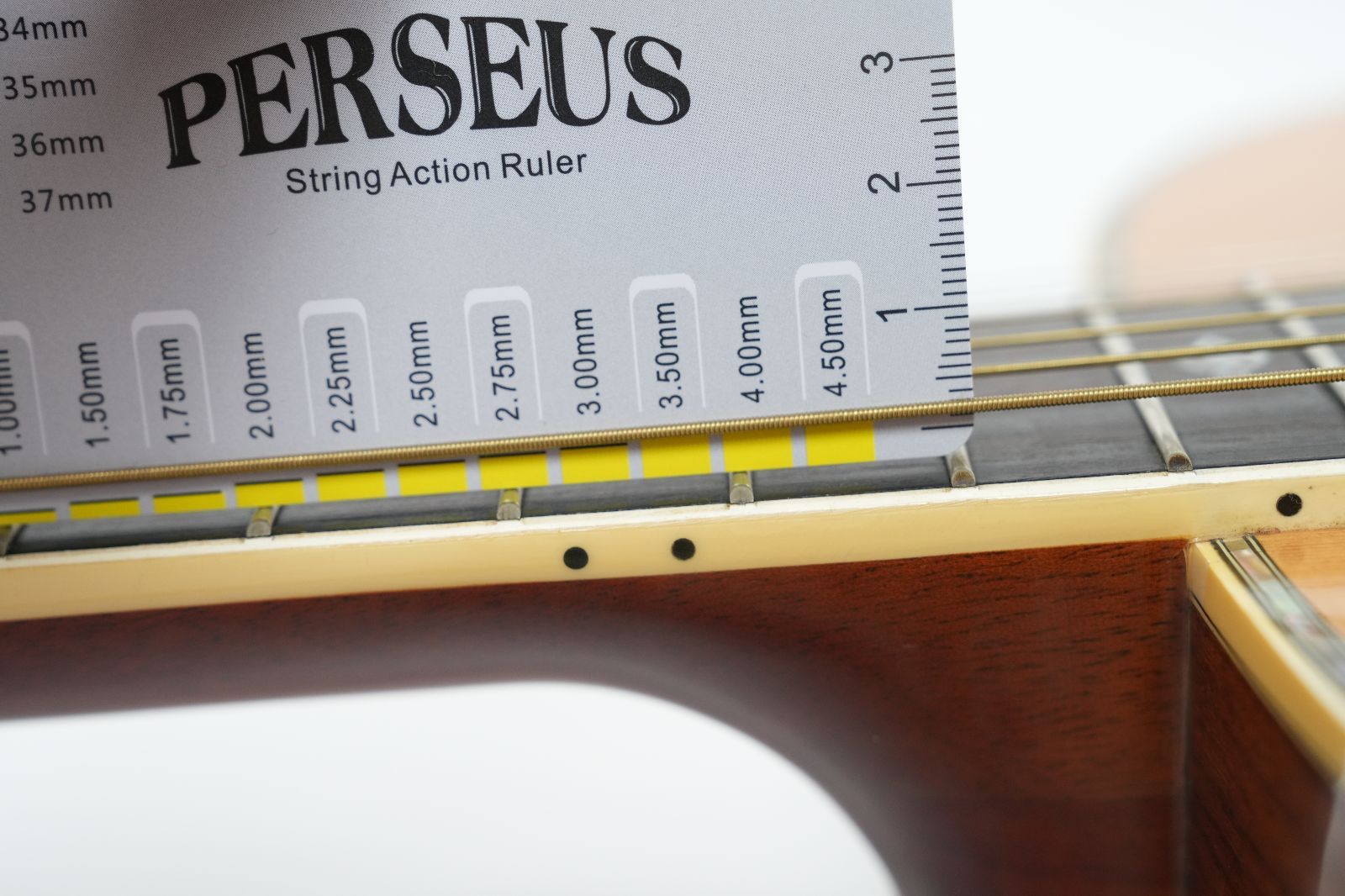 オール単板ギター