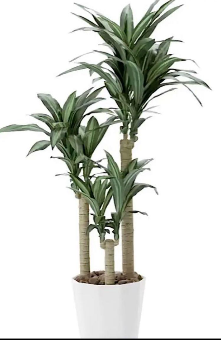 光触媒　人工観葉植物　ウォールグリーン　フェイクグリーン　フラワー　ユッカ160 光触媒 人工観葉植物 ウォールグリーン フェイクグリーン フラワー