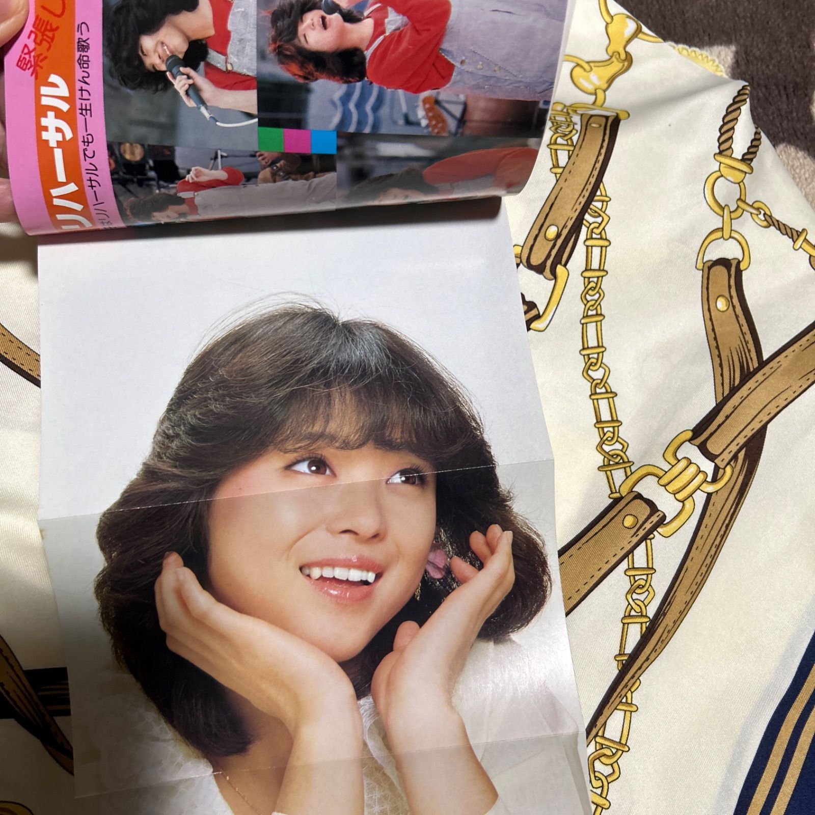 松田聖子 大百科 松田聖子 大百科 アイドル 昭和 こどもポケット百科 希少 レア