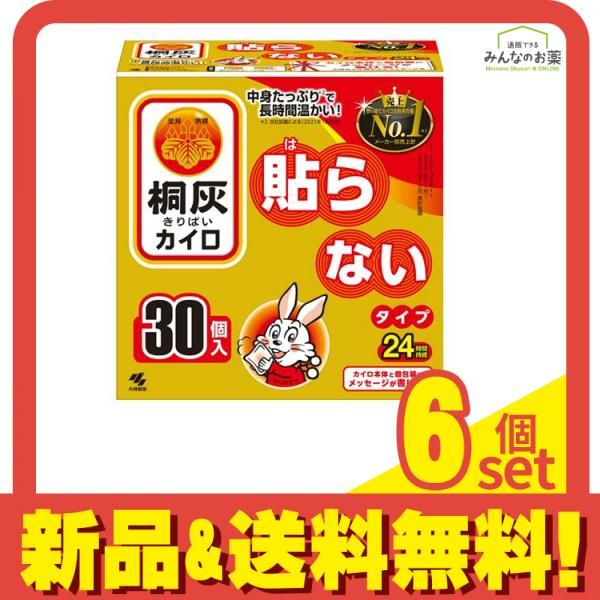 桐灰カイロ 貼らないタイプ レギュラー 24時間持続 30個入 6個セット まとめ売り