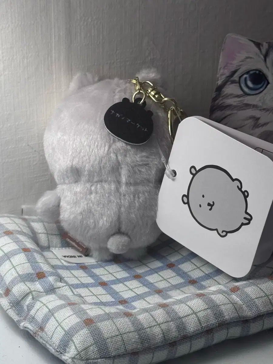 韓国限定 カラーなナガノのくま バニラ ブルーグレー クールグレー