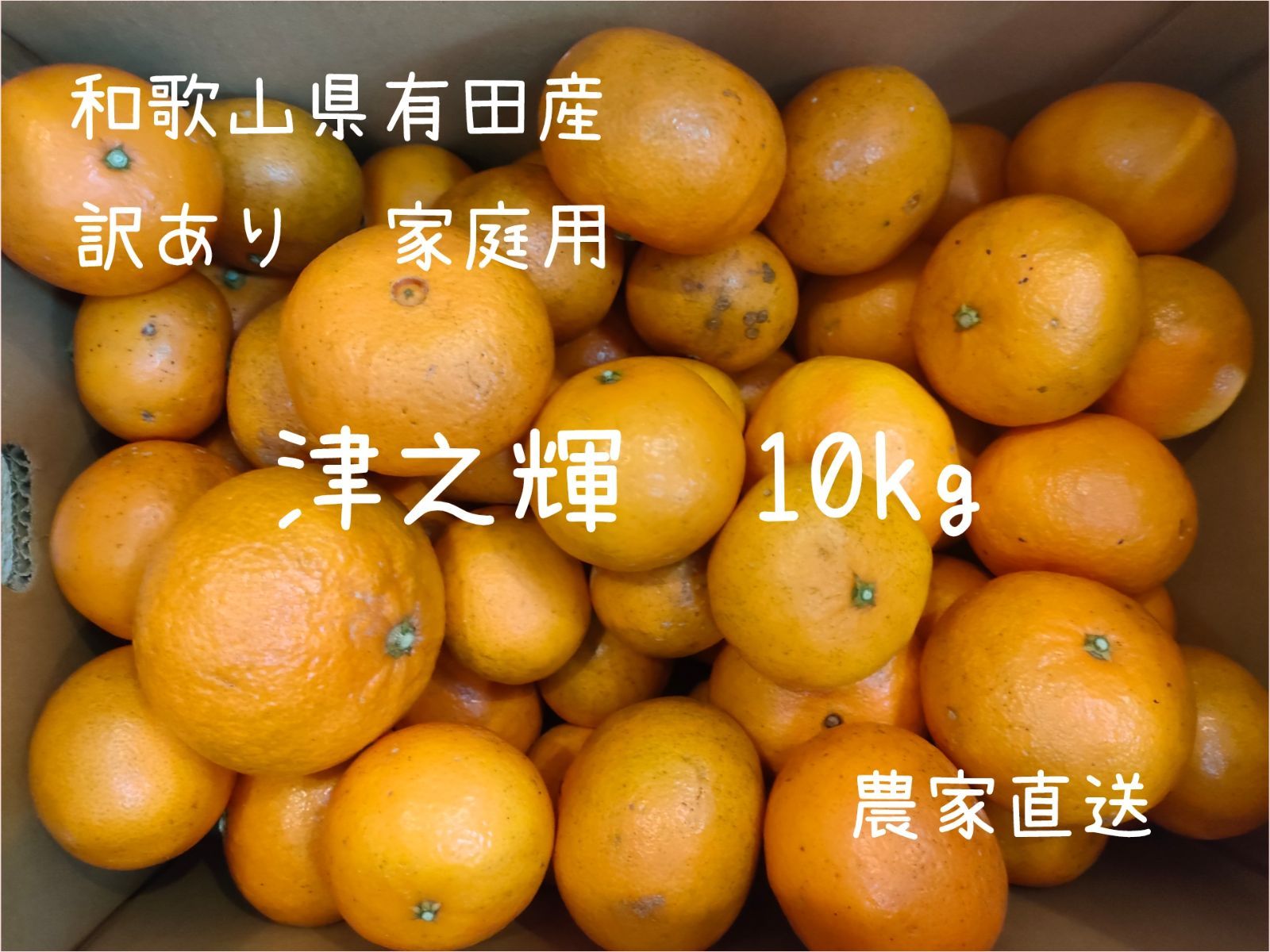 津之輝 10キロ入 【公式通販】