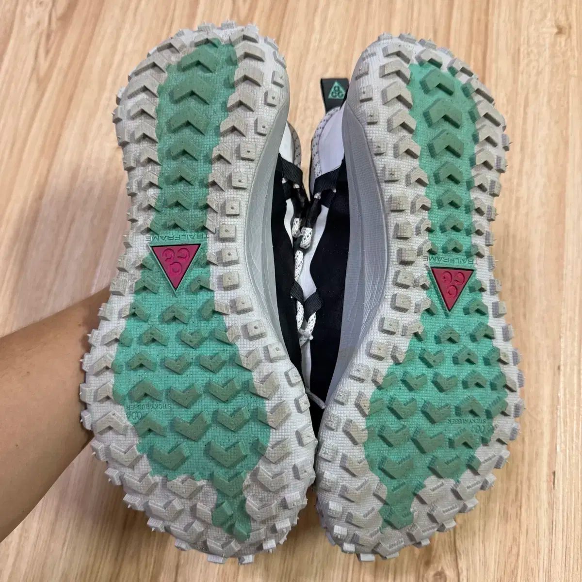 ナイキ ACG マウンテン フライ SE