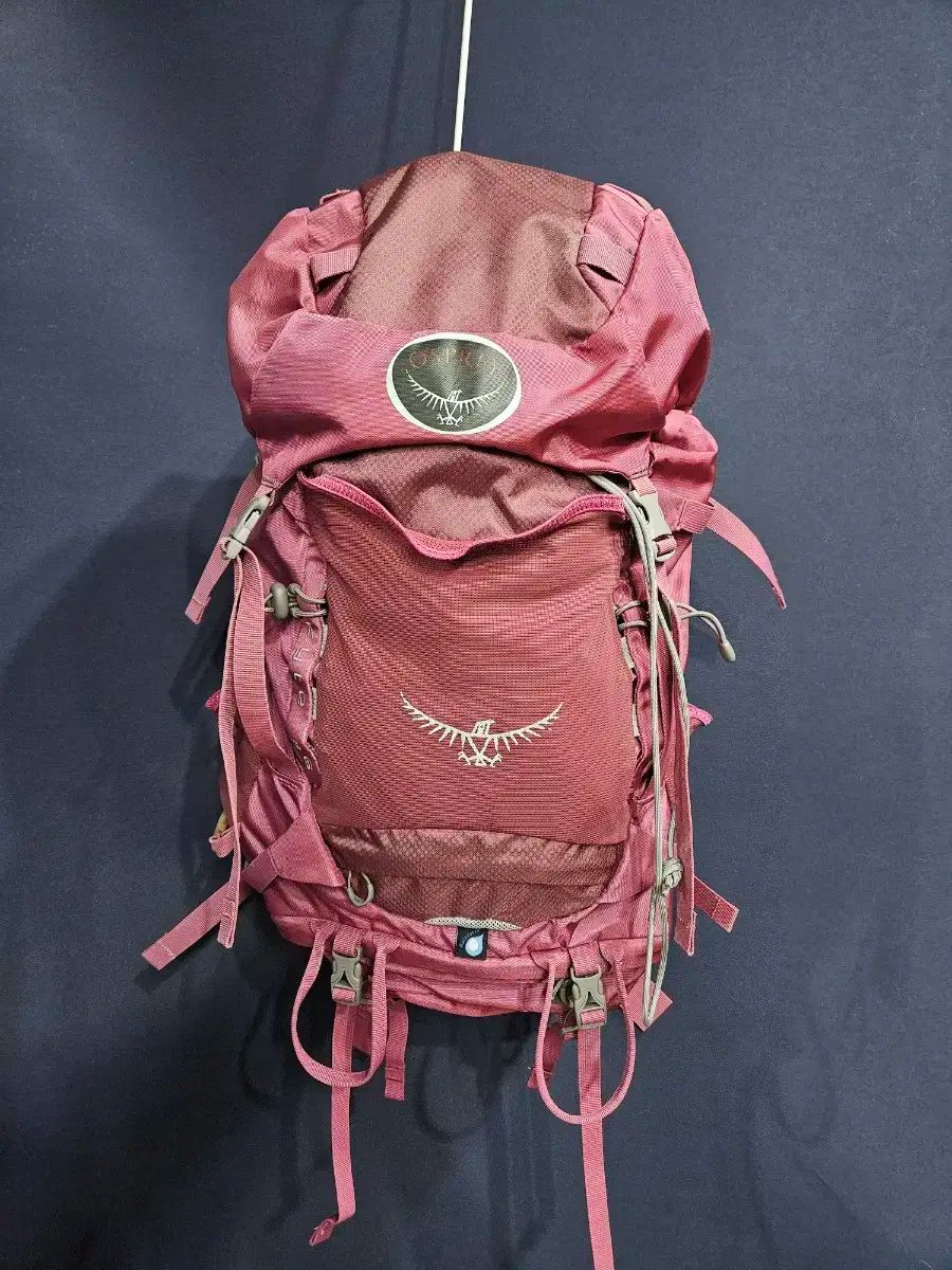 オスプレイ OSPREY バーガンディ 36 リットル 登山リュック リュックサック