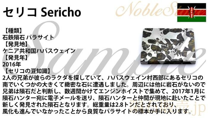 セリコ 38mm ペンダント ネックレス メテオライト 隕石 パラサイト 