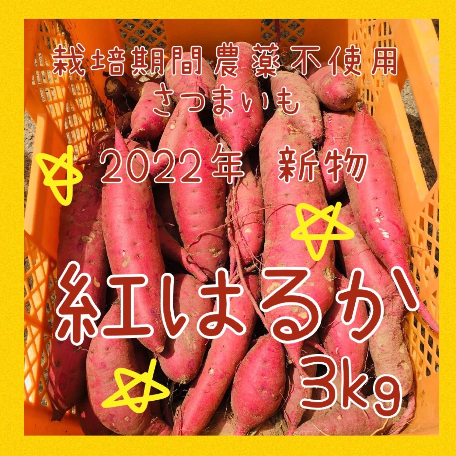 サツマイモ(紅はるか)※無農薬・無肥料・無堆肥　野菜　あ2