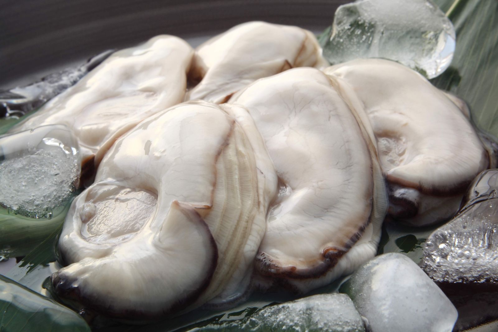 大　生食可能　メルカリ　相生市特産ぷりぷり1年剥き身牡蠣　牡蠣販売　むき身かき　1kg　やまよ　メルカリShops店