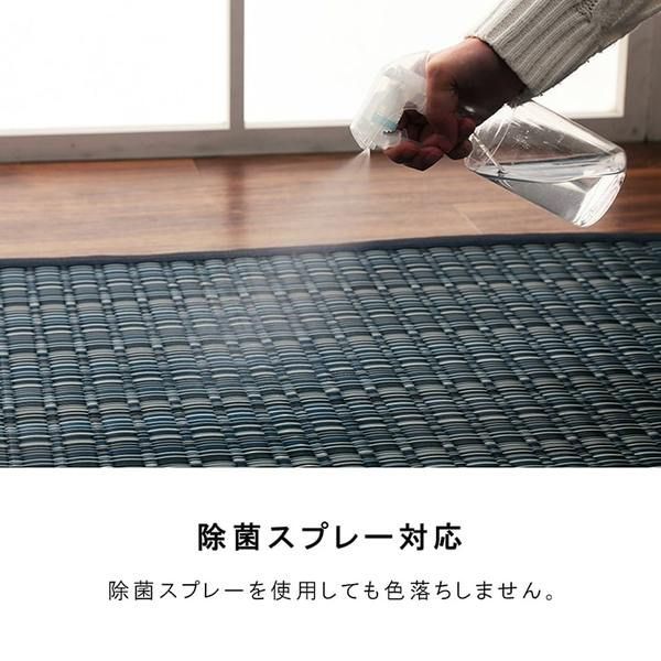 防ダニ PPカーペット