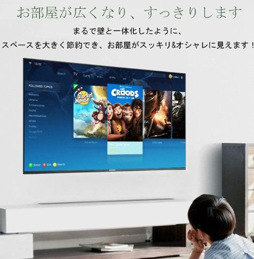 壁掛け金具 ダブルアームタイプ