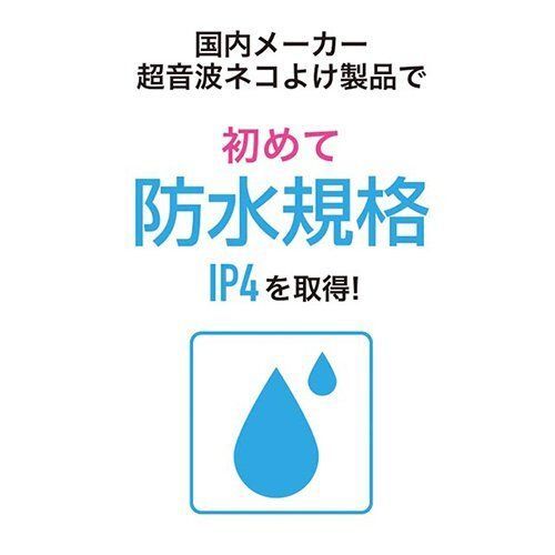 猫 糞