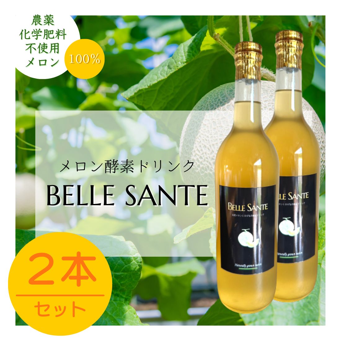 高品質定番酵素ドリンク ２本 ダイエット食品