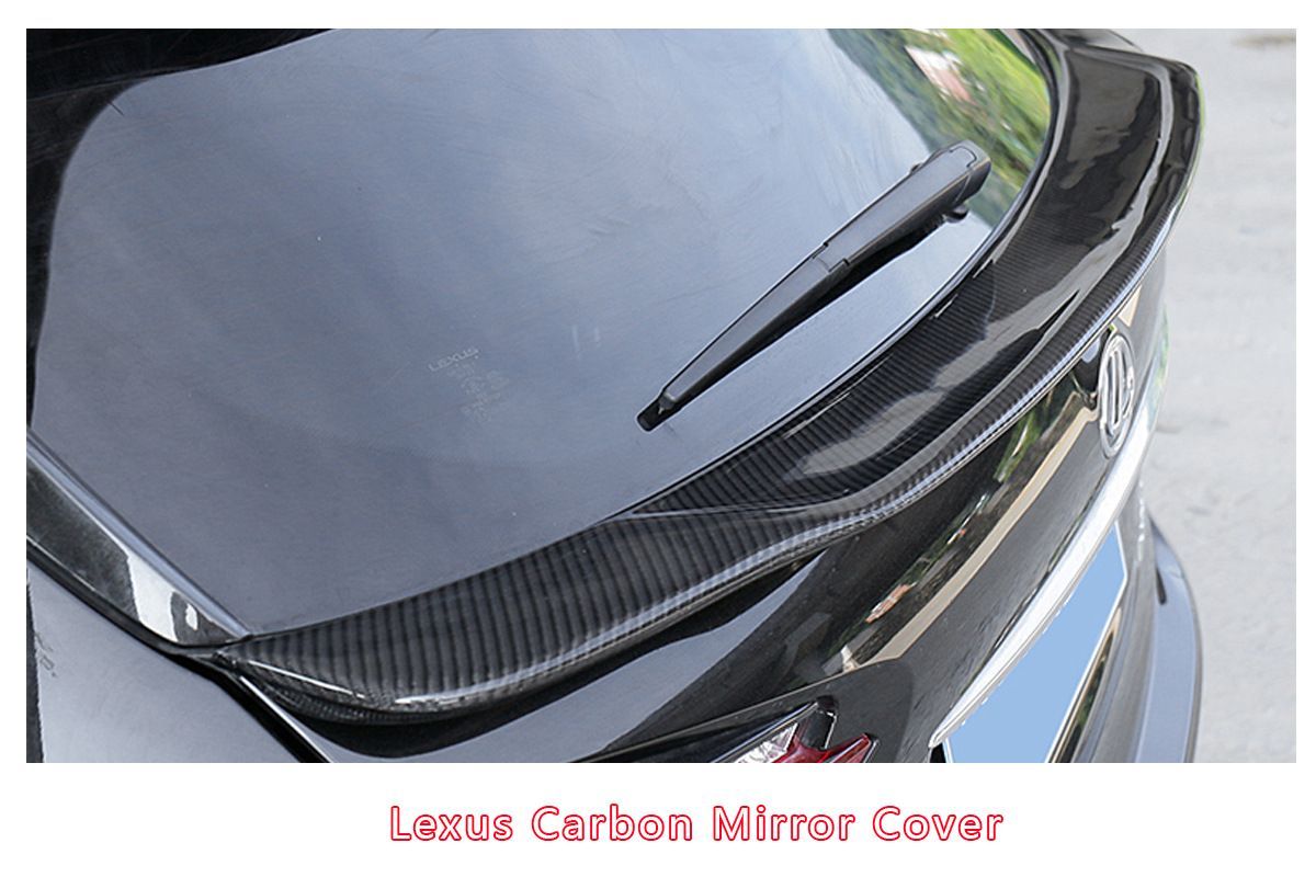 レクサスNX カーボンファイバー製中央ウィング＆リアスポイラー 後方エアロ 尾翼 感アップ 見た目向上 走行安定性強化