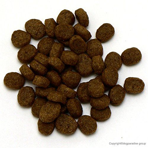  スーパーゴールド Superg フィッシュ ポテト シニアライト 7 5 kg その他 フェイスケア