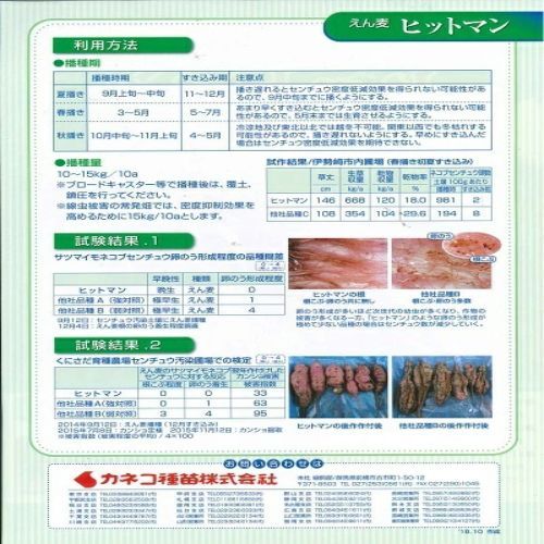 Tカネコ種苗 緑肥 エンバク ヒットマン 20kg STEELWINDOWSANDDOORS_COM