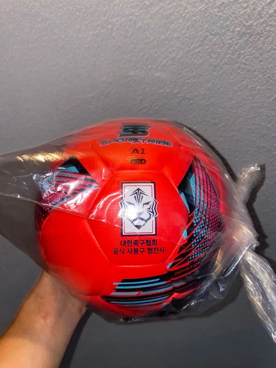 スポーツ・トライブ 韓国サッカー協会 サッカーボール 韓国プロサッカー連盟(総裁クォン·オガプ、以下「連盟」)