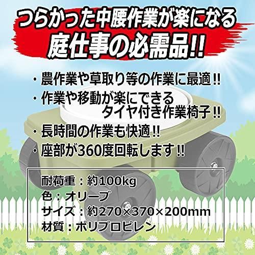 オリーブ EGC-5OL