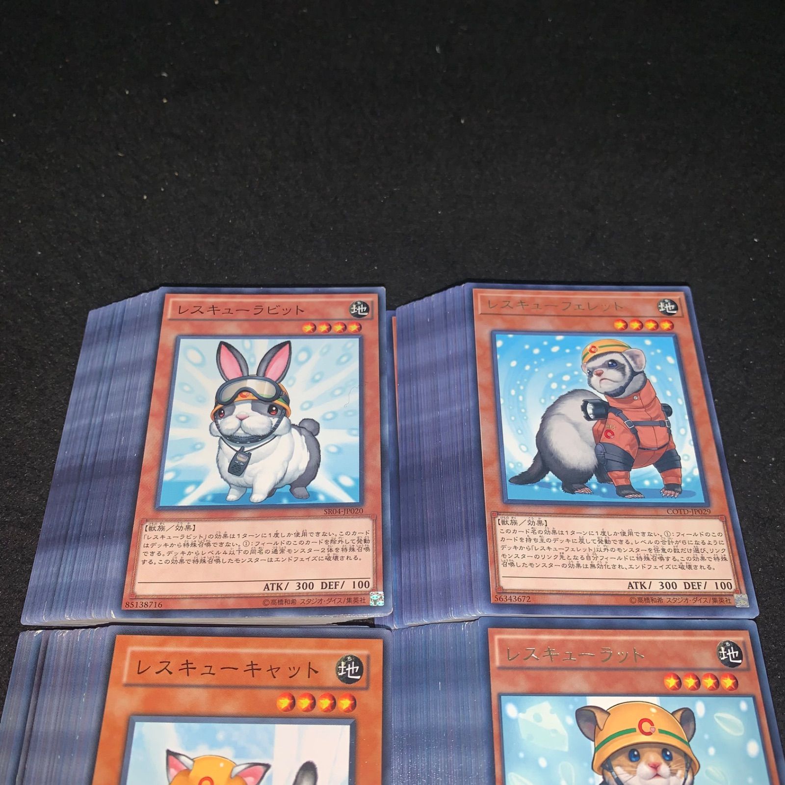 遊戯王 No.P3551 大量 レスキューラット レスキューキャット 