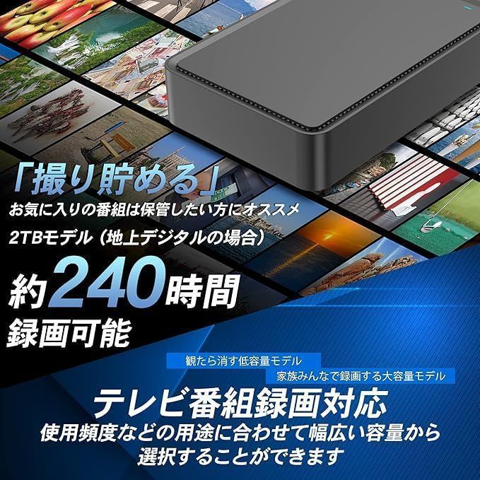 新品 日本国内サポート 対応 PS4 日本語説明書 PC テレビ録画 